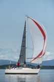 salamander xxii 3361c whyw19 tue gjmc 4421